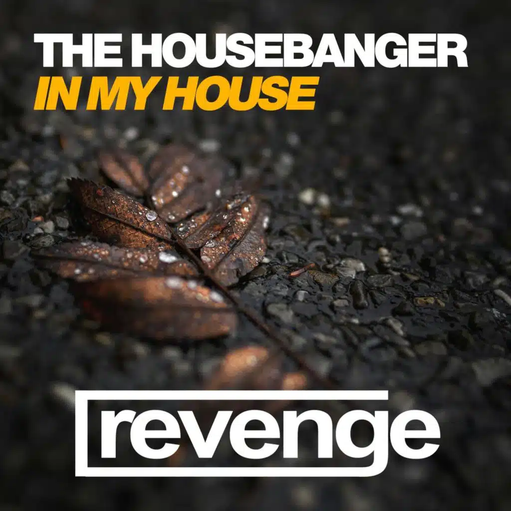 In My House (Dub Mix)