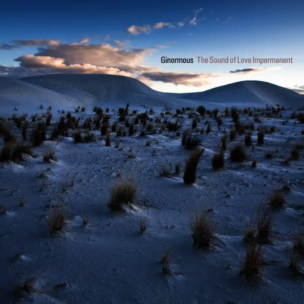 The Sound of Love Impermanent