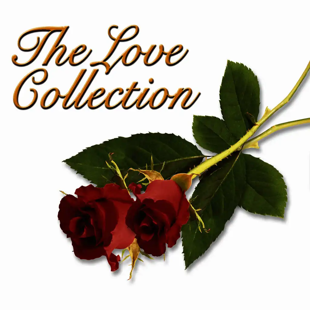 The Love Collection