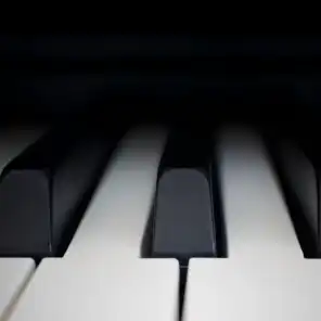 Chopin 24 Preludes, Op. 28 No. 6 in B Minor
