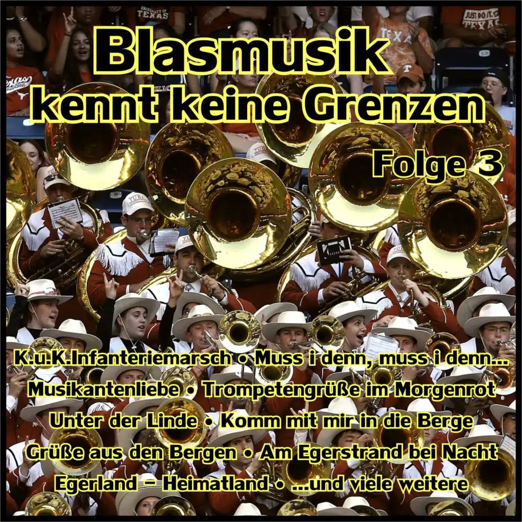 Erwin Pütz & seine Original Fidelen Holzhacker