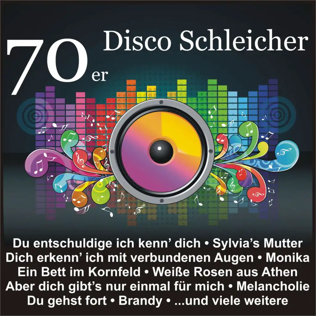 70er Disco Schleicher