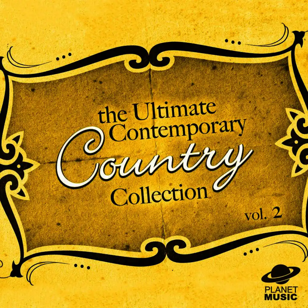 The Ultimate Contemporary Country Collection Vol. 2