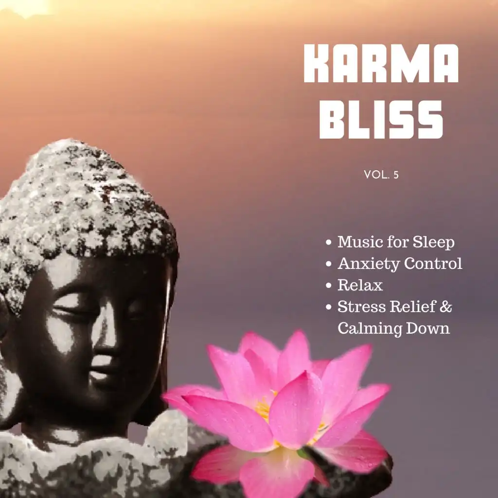 Karma Bliss, Vol. 5: Music for Sleep, Anxiety Control, Relax, Stress Relief & Calming Down