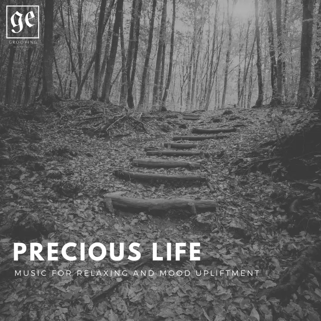 Precious Life: Music for Relaxing and Mood Upliftment