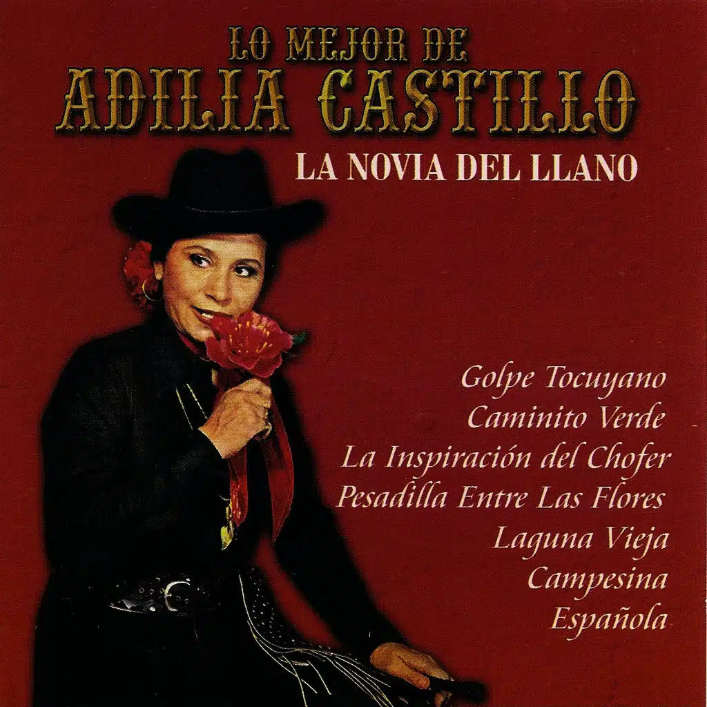 Lo Mejor de Adilia Castillo