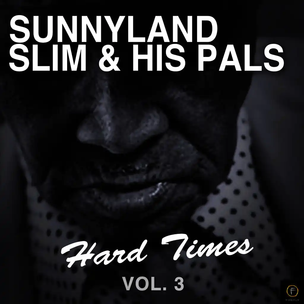 Sunnyland Slim & His Pals, Hard Times Vol. 3