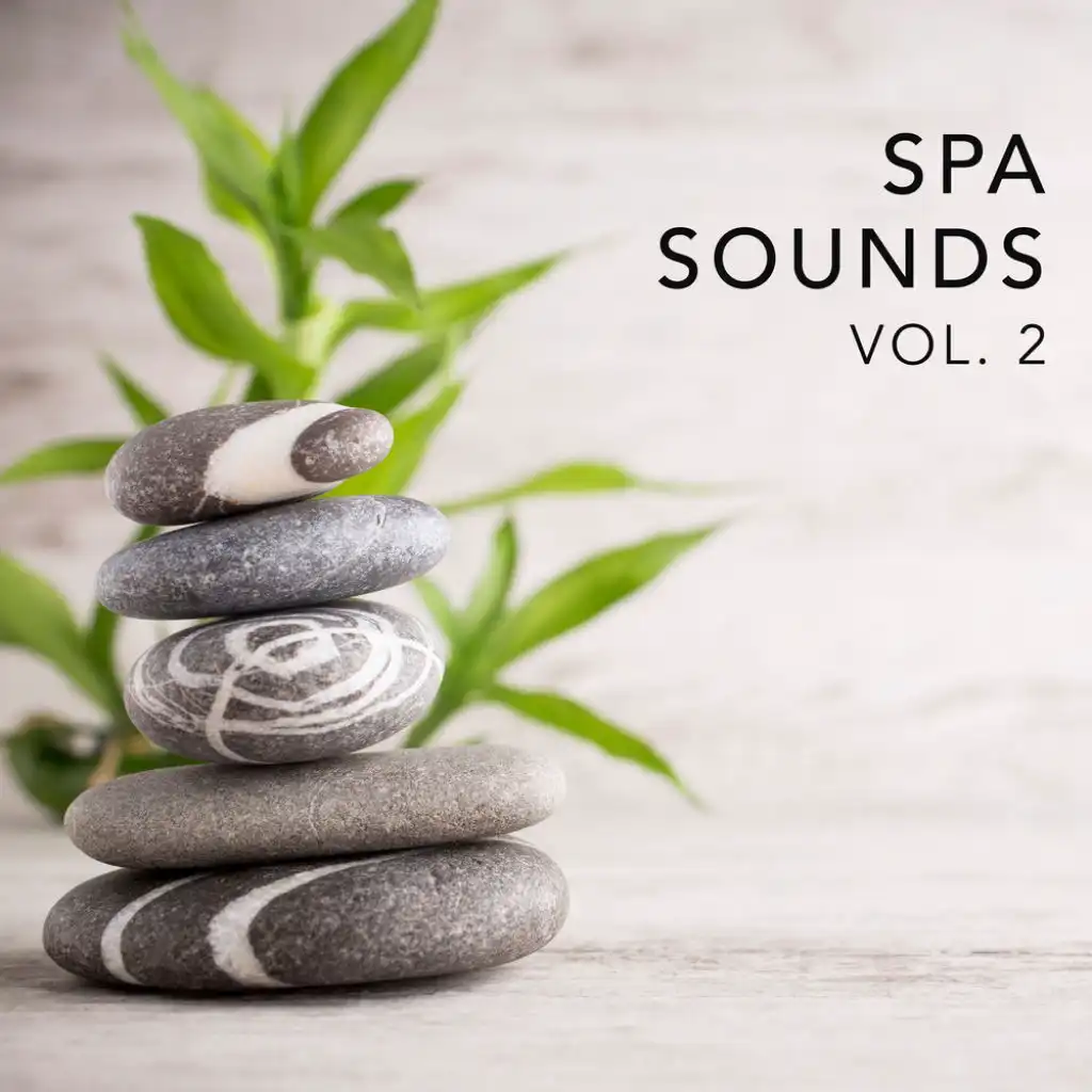 Spa Sounds Vol.2