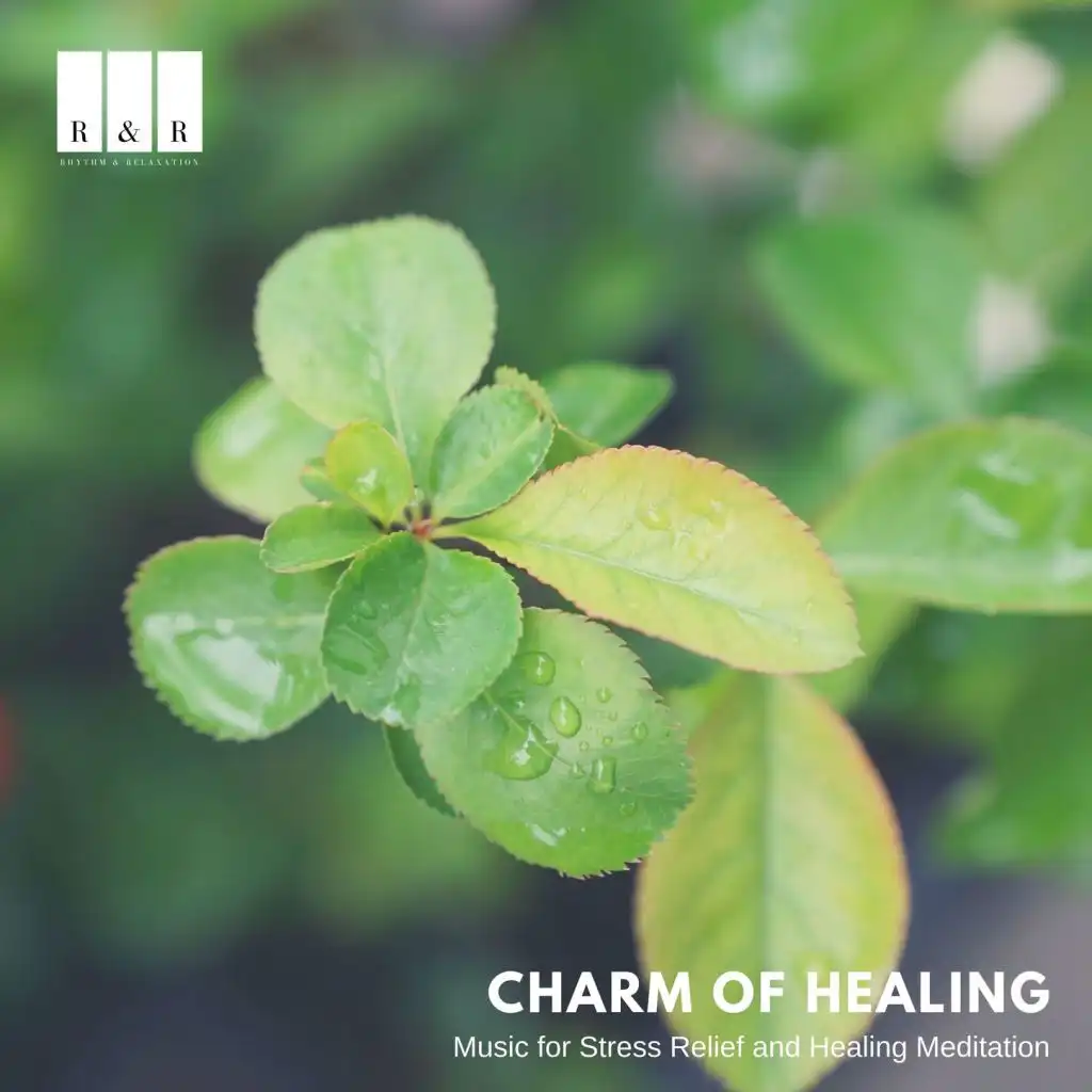 Charm of Healing: Music for Stress Relief and Healing Meditation