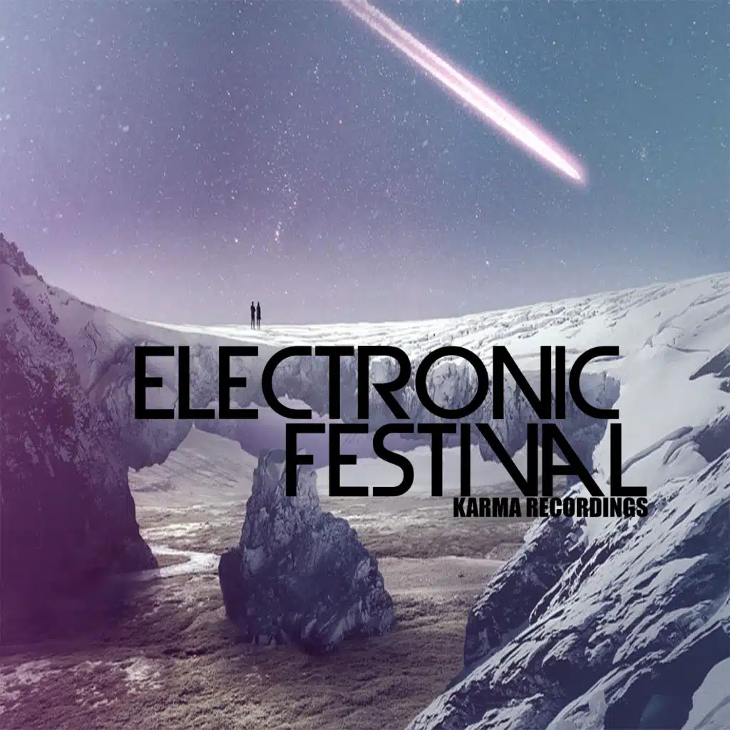 Electronic Festival