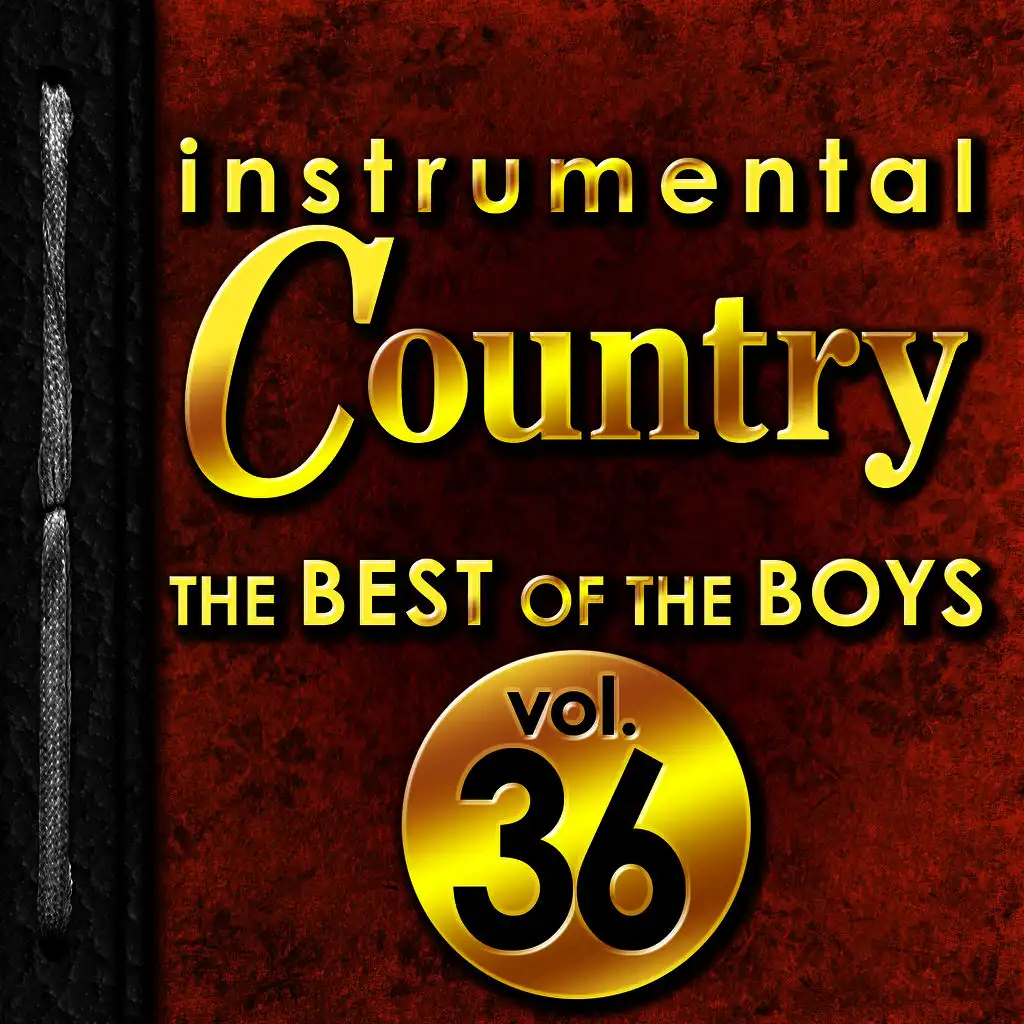 Instrumental Country: The Best of the Boys, Vol. 36