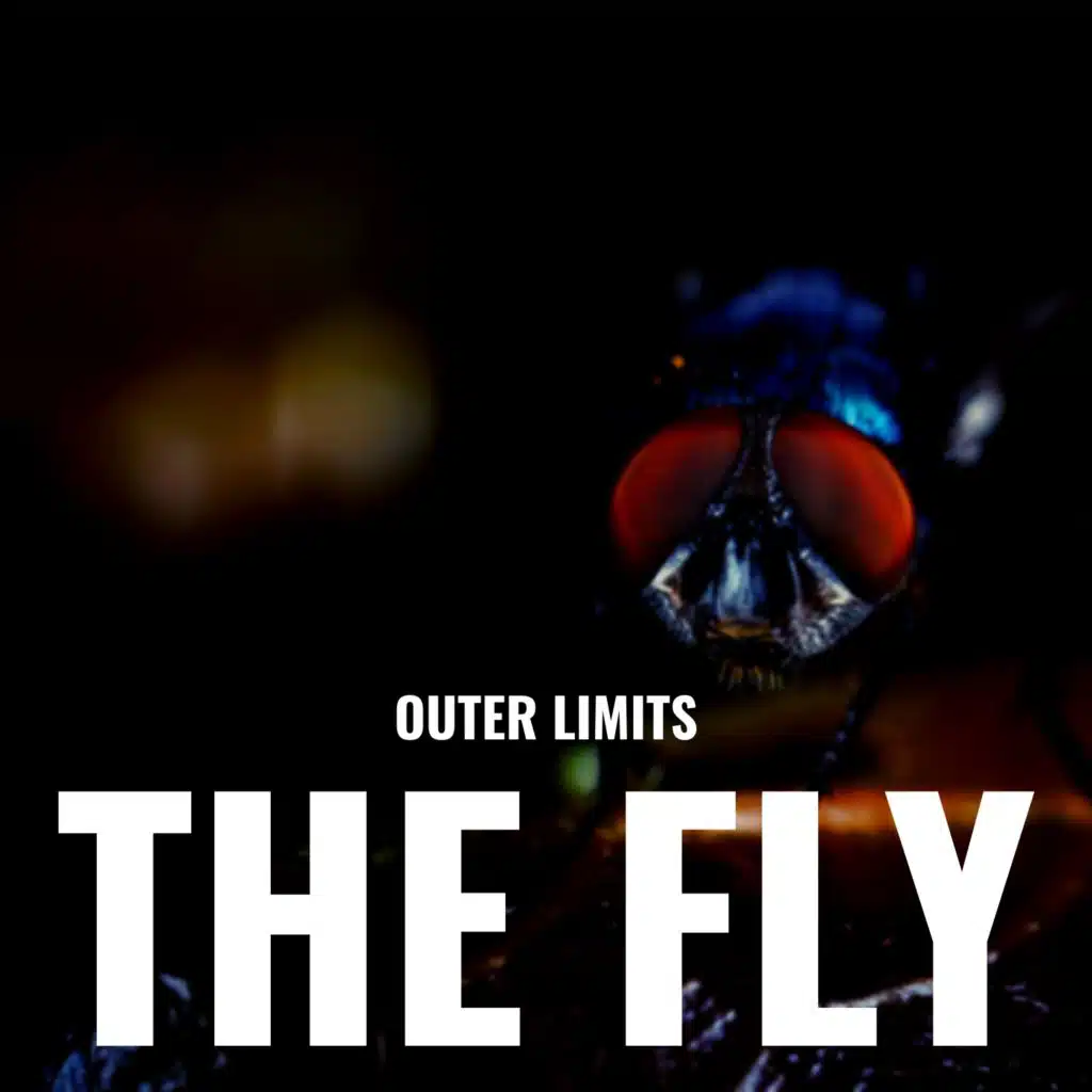 The Fly