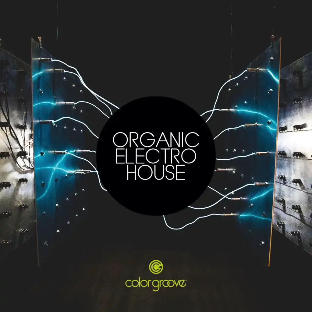 Organic Electro House