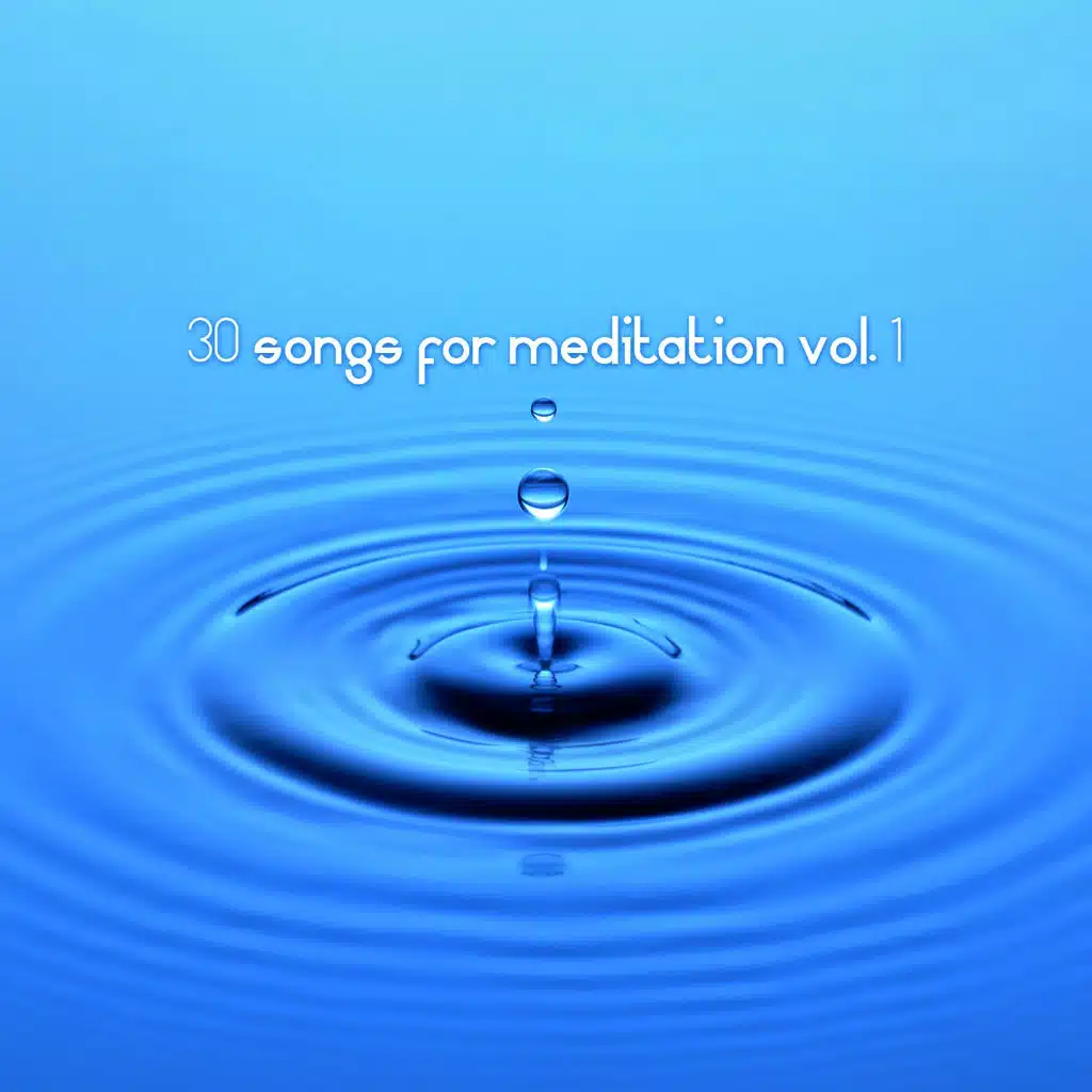 30 Songs for Meditation Vol. 1