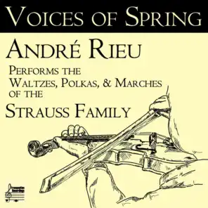 Frühlingsstimmen (Voices of Spring), Walzer, Op. 410