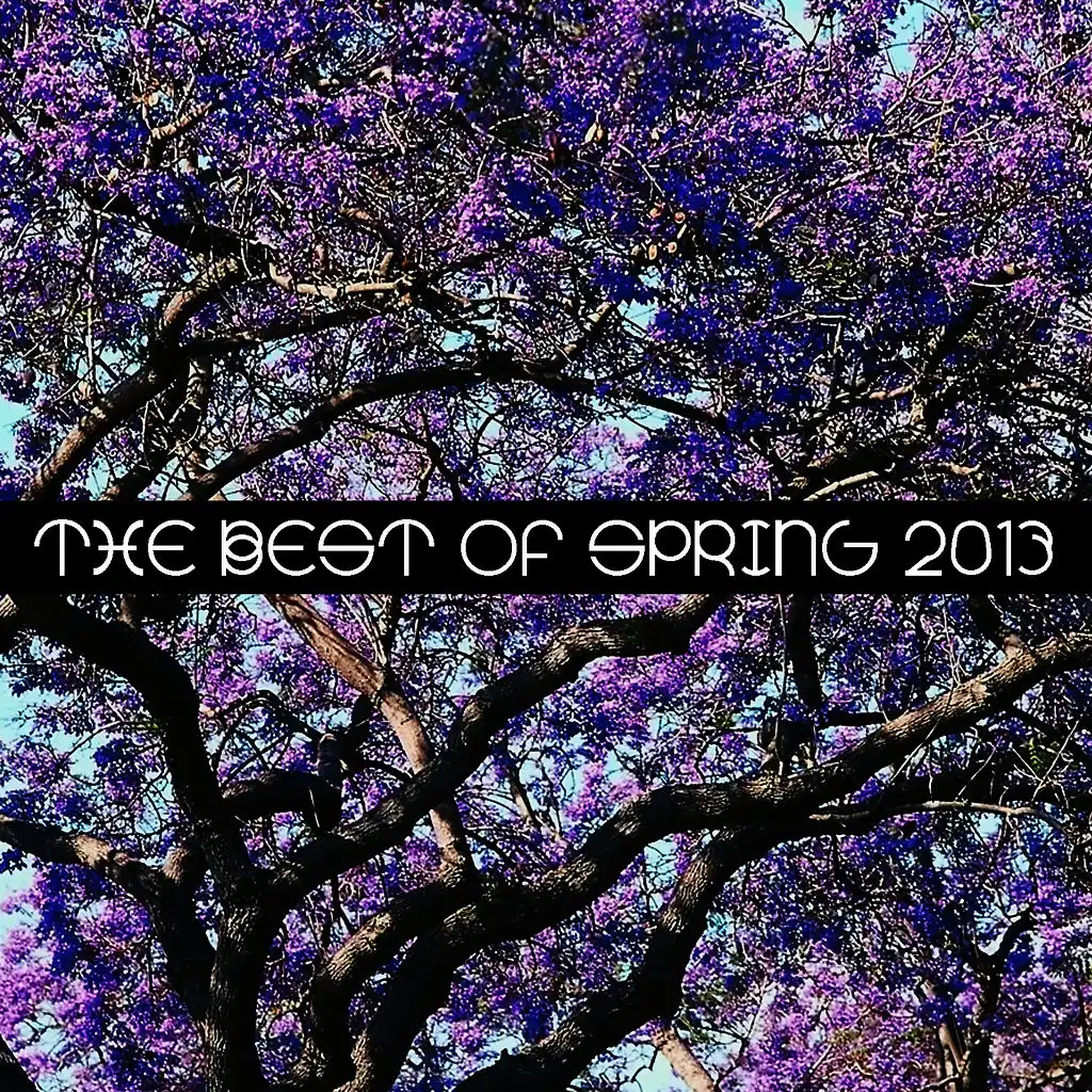 The Best of Spring 2013