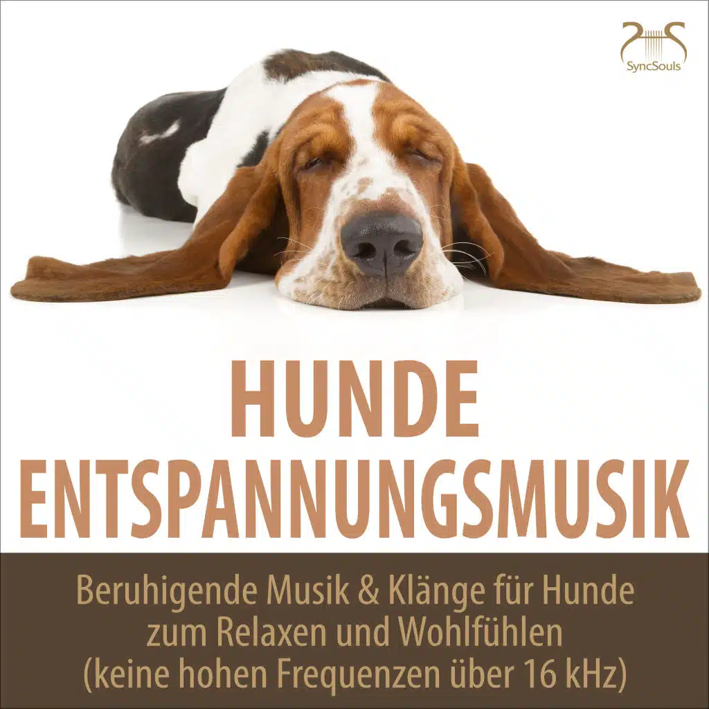 Klang des Sommers: Beruhigende Naturgeräusche & wohltuende Entspannungsmusik für den Hund - keine Frequenzen über 16 kHz