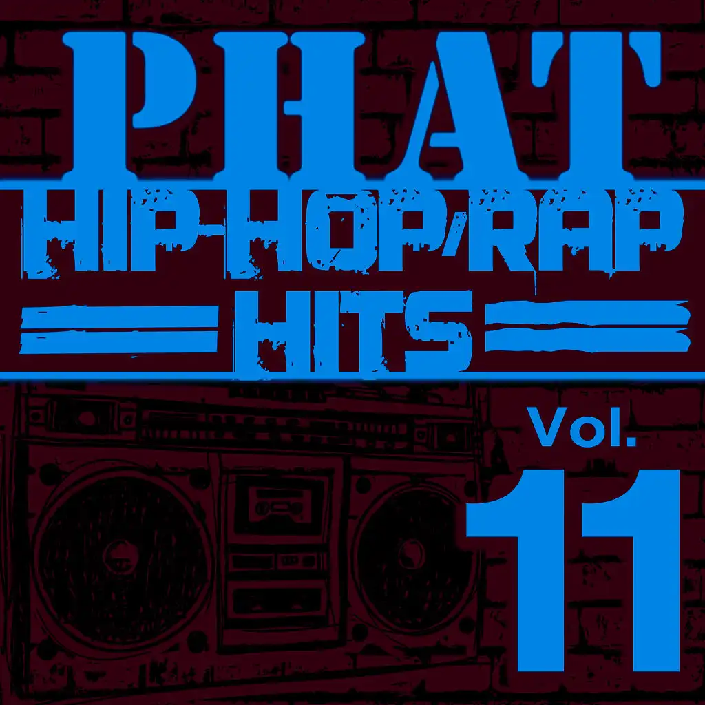 Phat Hip-Hop/Rap Hits, Vol. 11