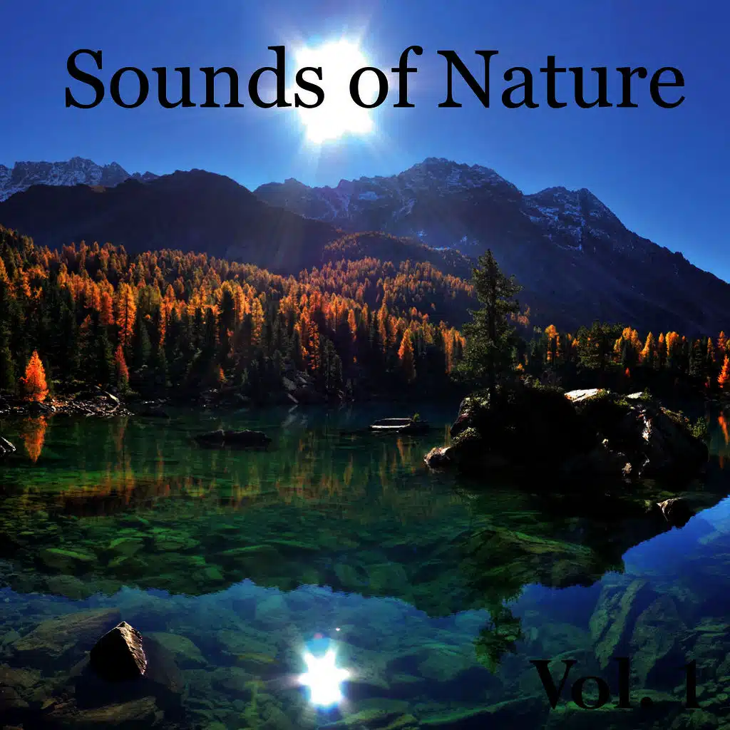 Llewellyn & Natural Sounds