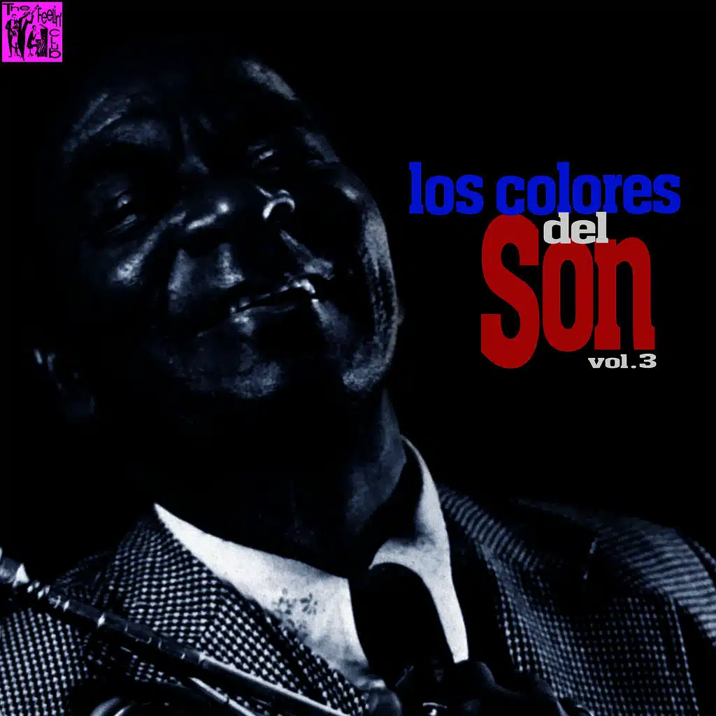 Los Colores del Son, Vol.3