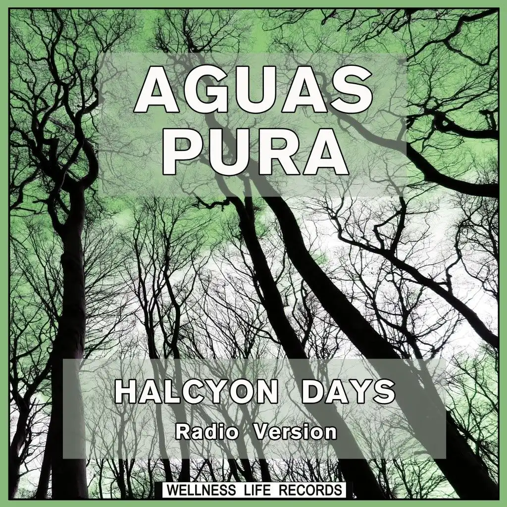 Halcyon Days (Radio Version)