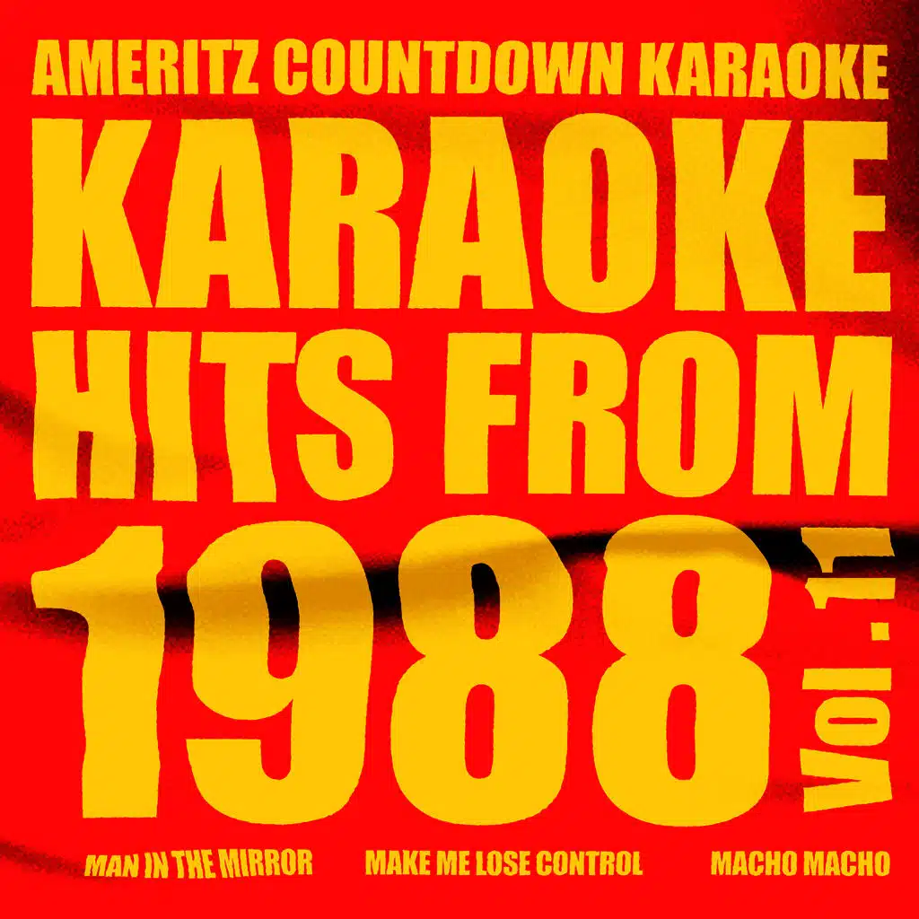 Karaoke Hits from 1988, Vol. 11