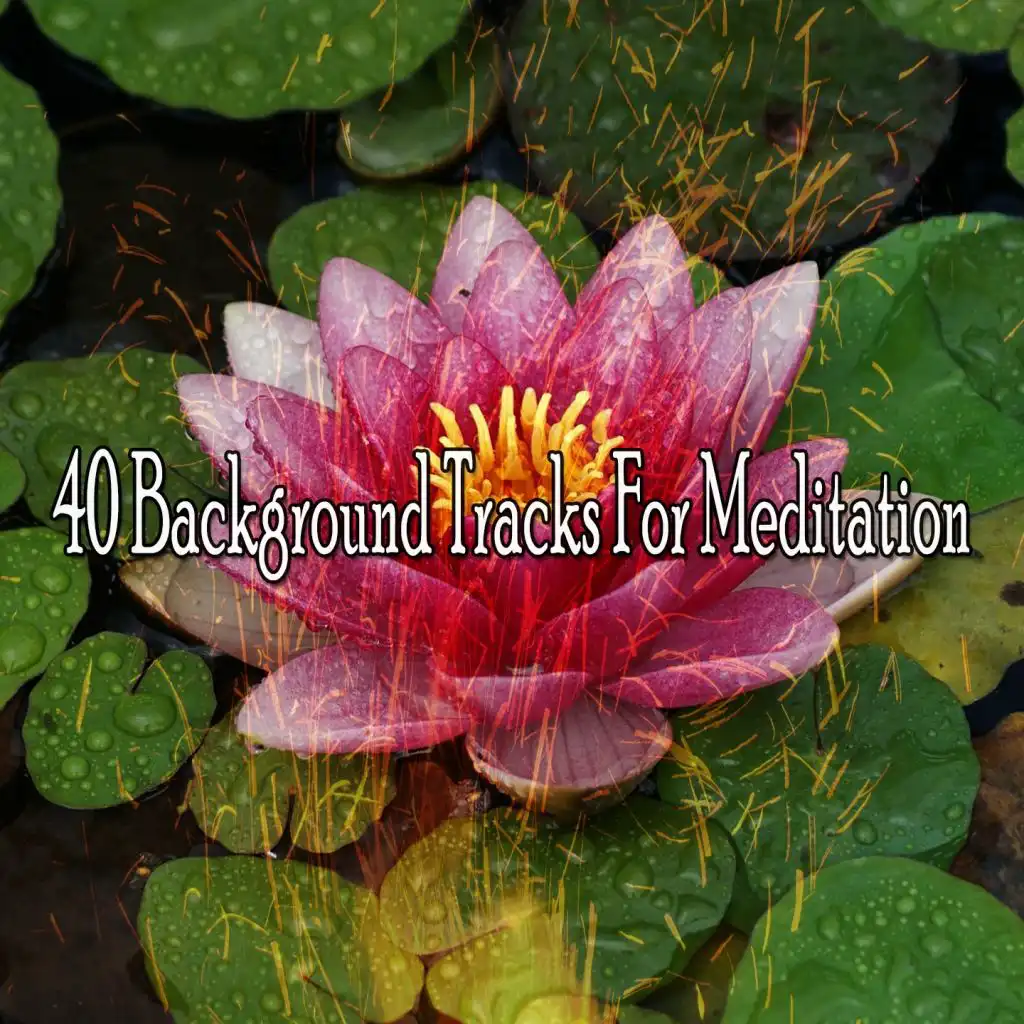 40 Background Tracks for Meditation