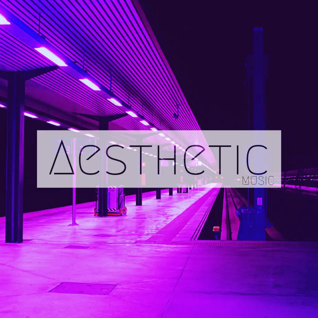 Aesthetic Playlist