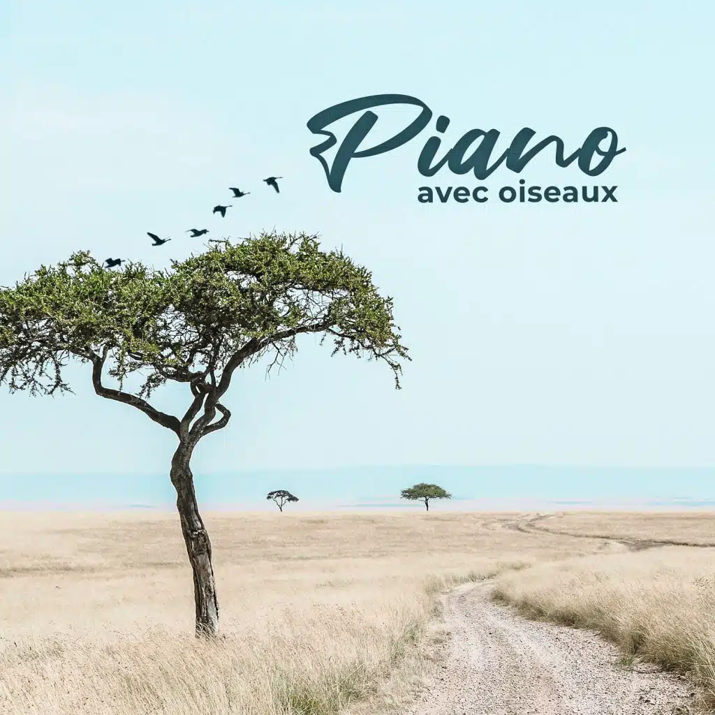 Piano avec oiseaux - Musique pour la détente, Spa, Masser, Méditation du matin, Yoga spirituel, Musique de guérison