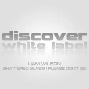 Shattered Glass / Please Don't Go