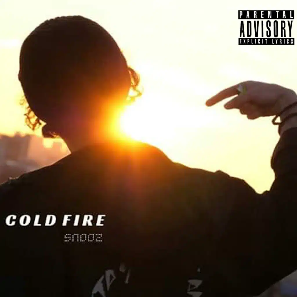 Cold Fire (feat. Camil Kanouni)