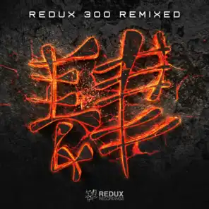 Redux Recordings 300 Remixed