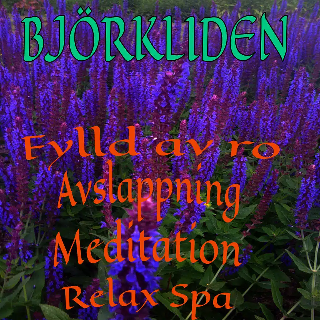 Fylld av ro avslappning meditation relax spa