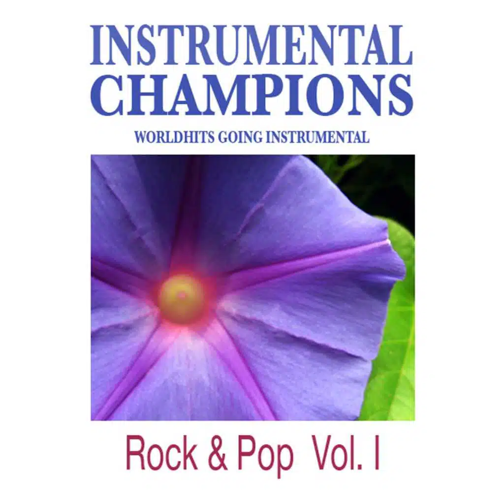 Always Look On the Bright Side of Life (Instrumental)
