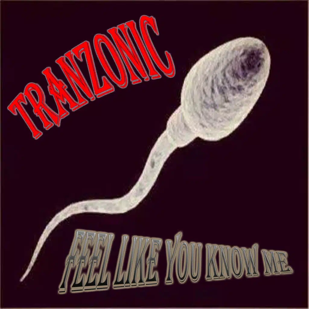 Tranzonic