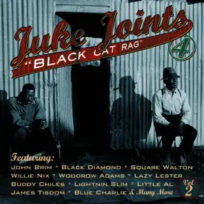 Juke Joint Blues Black Cat Rag