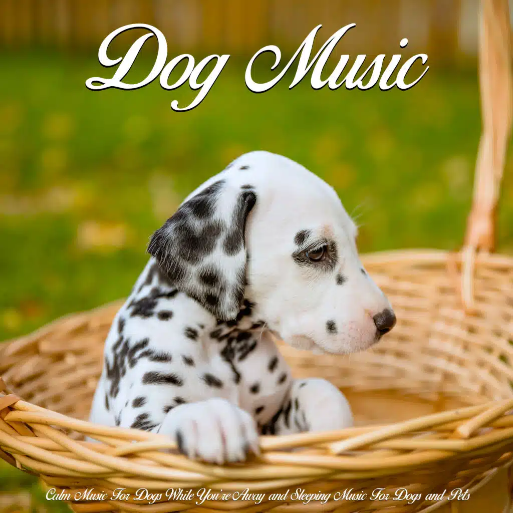Dog Music: Calm Music For Dogs While You’re Away and Sleeping Music For Dogs and Pets