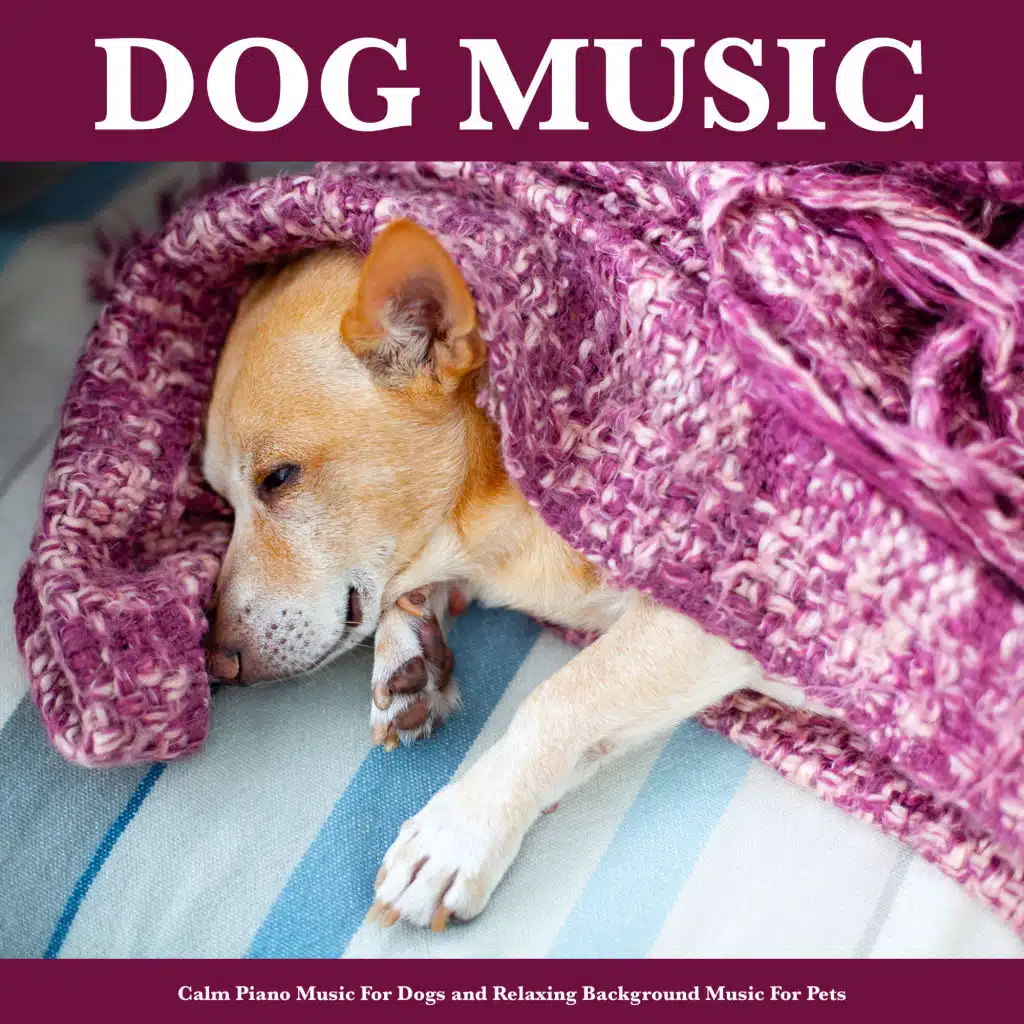 Soothing Piano Music