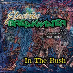 Breakwater  (feat. Mark Egan & Rodney Holmes)