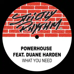 What You Need (feat. Duane Harden) [Lenny Fontana's Mix]