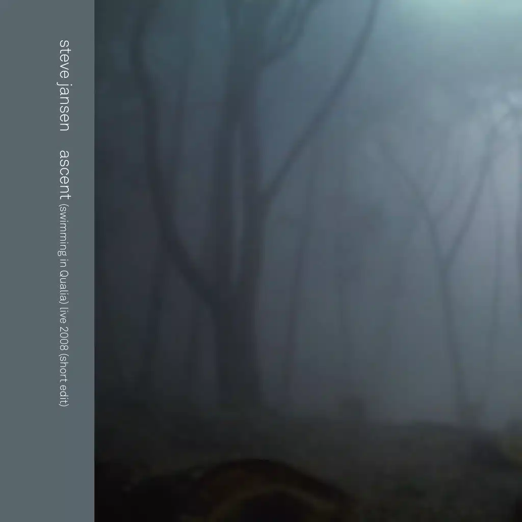 Ascent (Swimming in Qualia) (Live 2008 Short Edit)