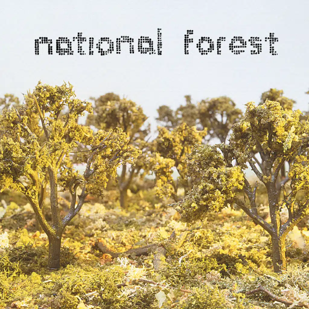 National Forest