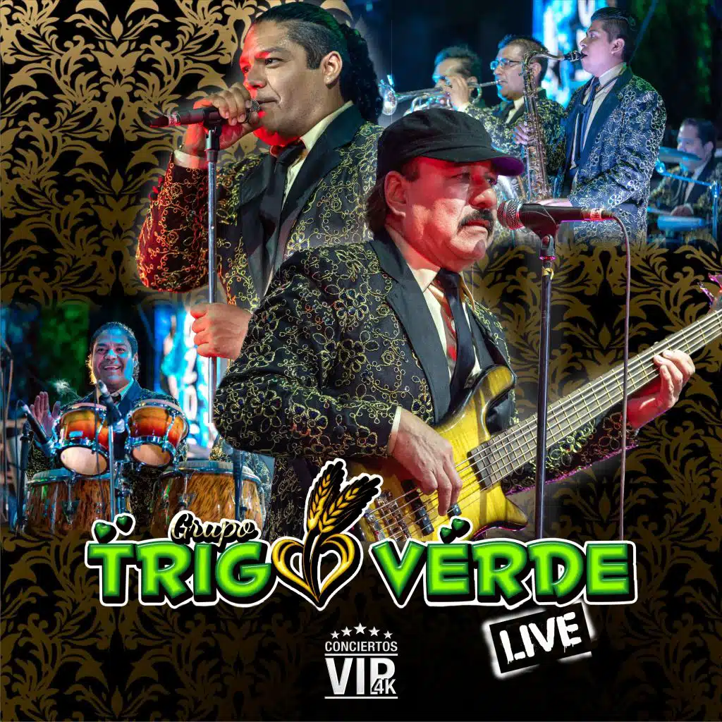 Conciertos Vip 4K: Grupo Trigo Verde (Live)