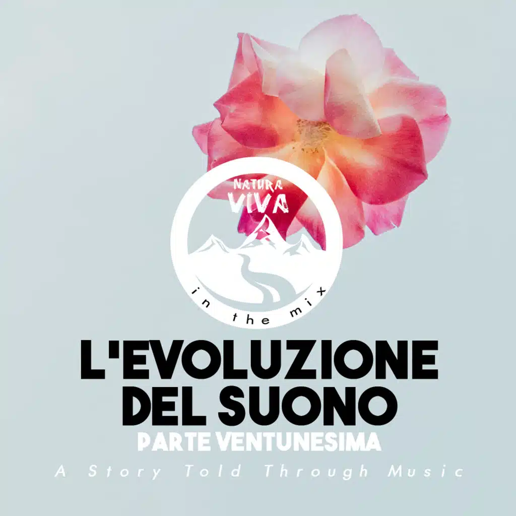L'Evoluzione Del Suono (Parte Ventunesima)