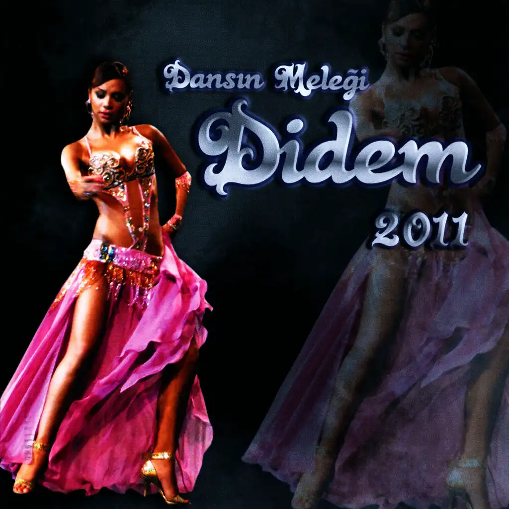 Dansın Meleği Didem 2011