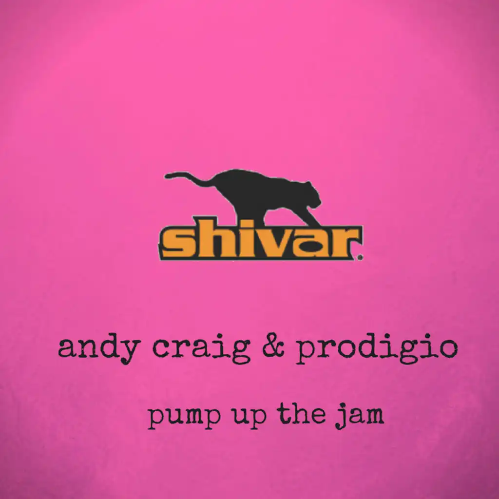 Pump Up the Jam (Radio Mix)