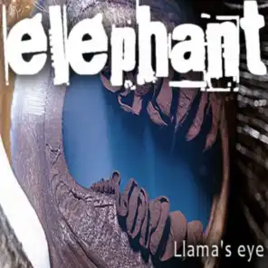 Llama's Eye