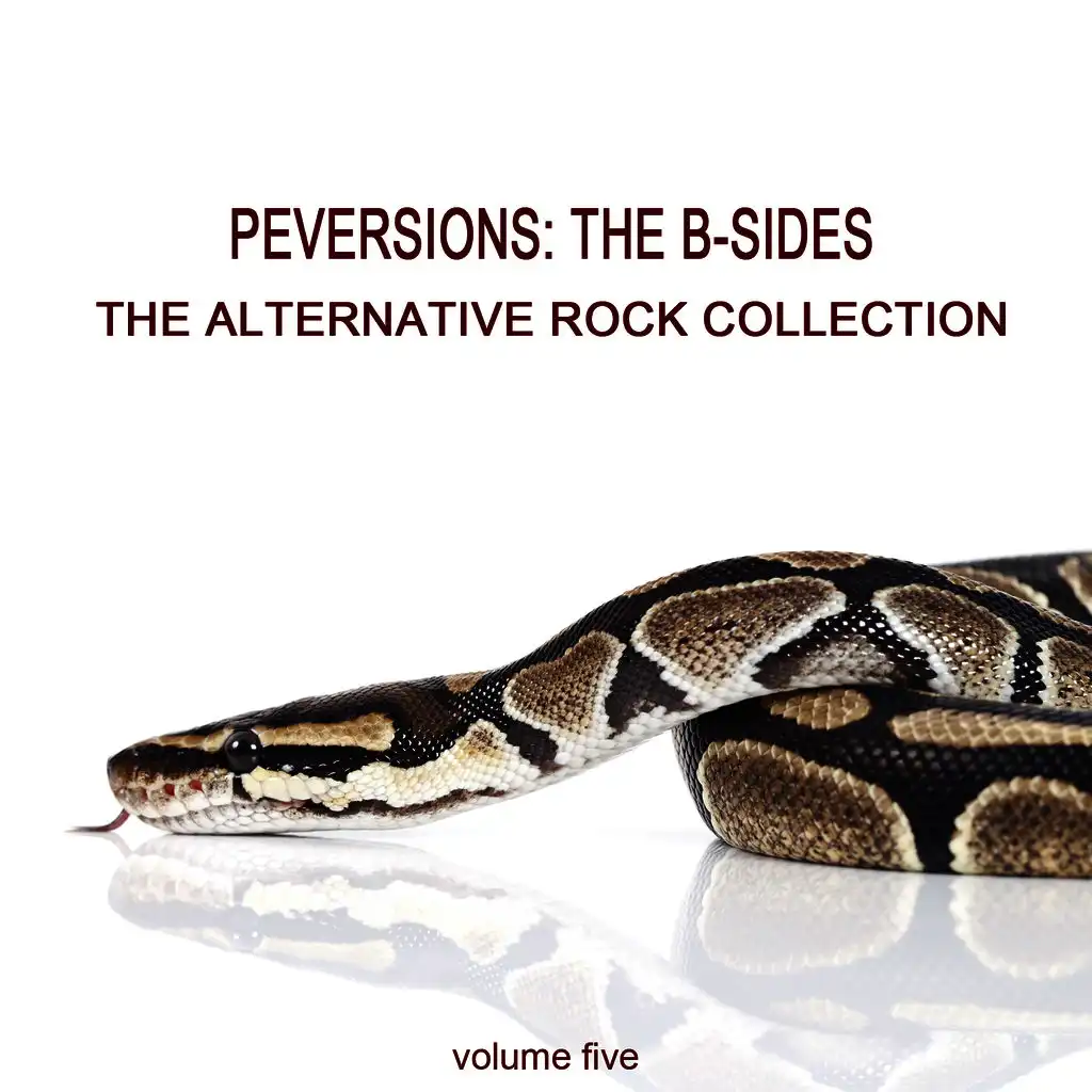 Perversions, The B-Sides: The Alternative Rock Collection Vol. 5