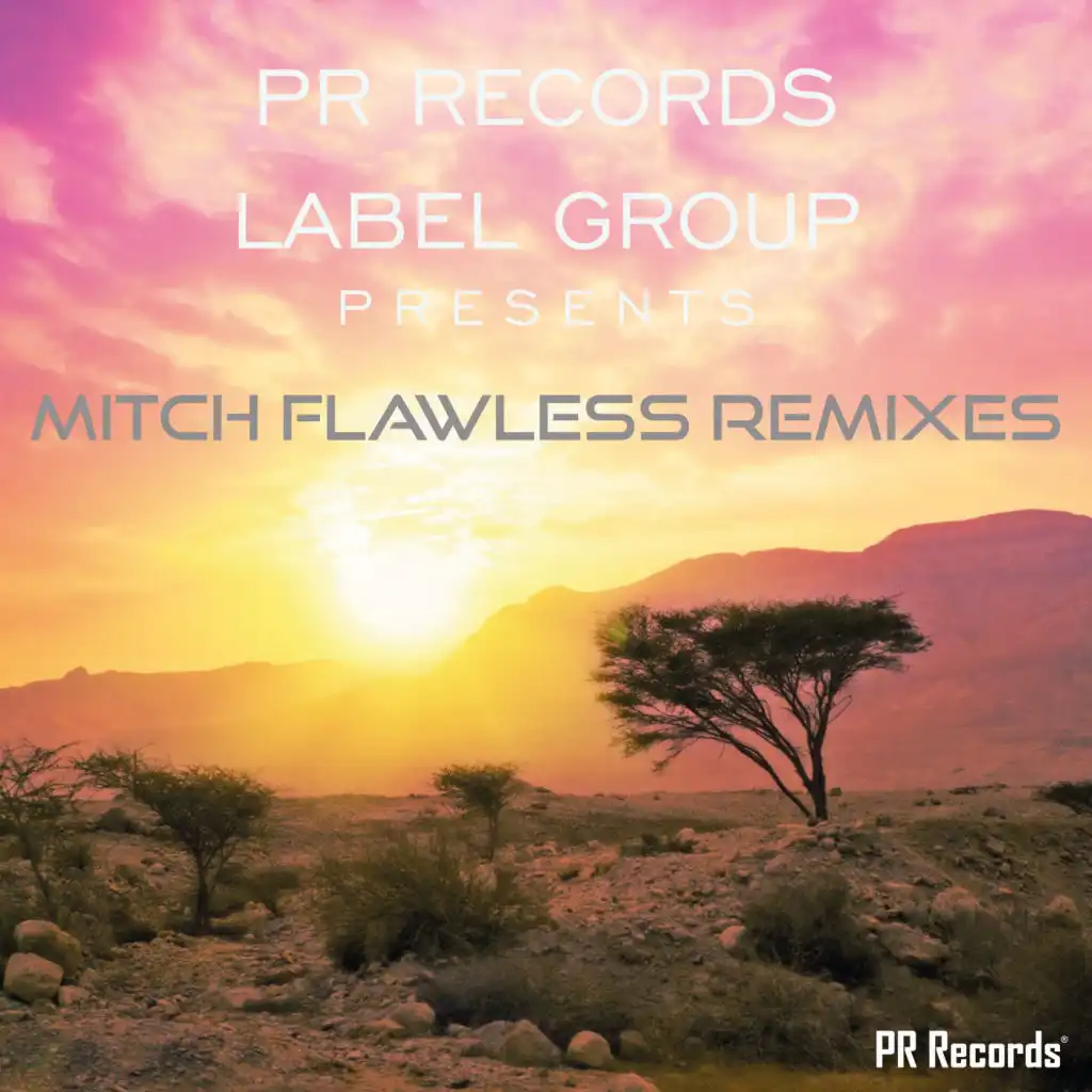 PR Records Label Group Presents Mitch Flawless remixes