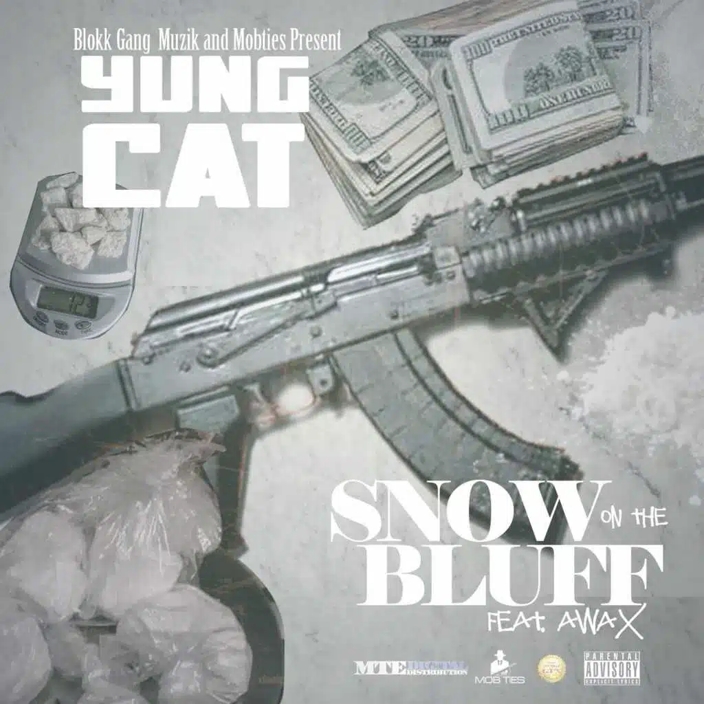 Snow On The Bluff (feat. A-Wax)